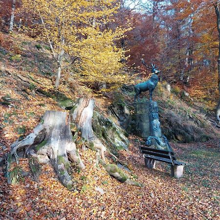 Haus Anastasia Stolberg  Zewnętrze zdjęcie