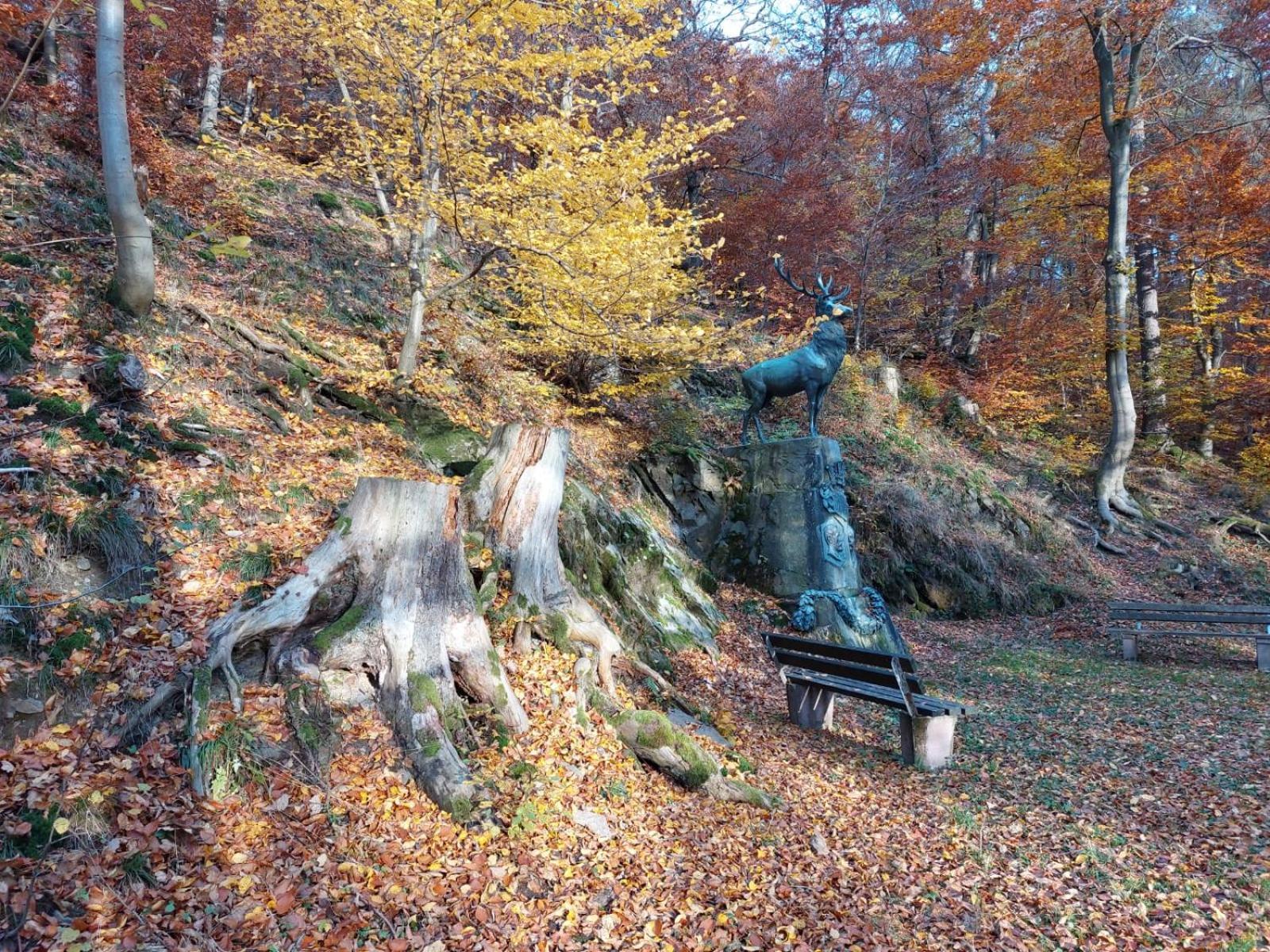 Haus Anastasia Stolberg  Zewnętrze zdjęcie